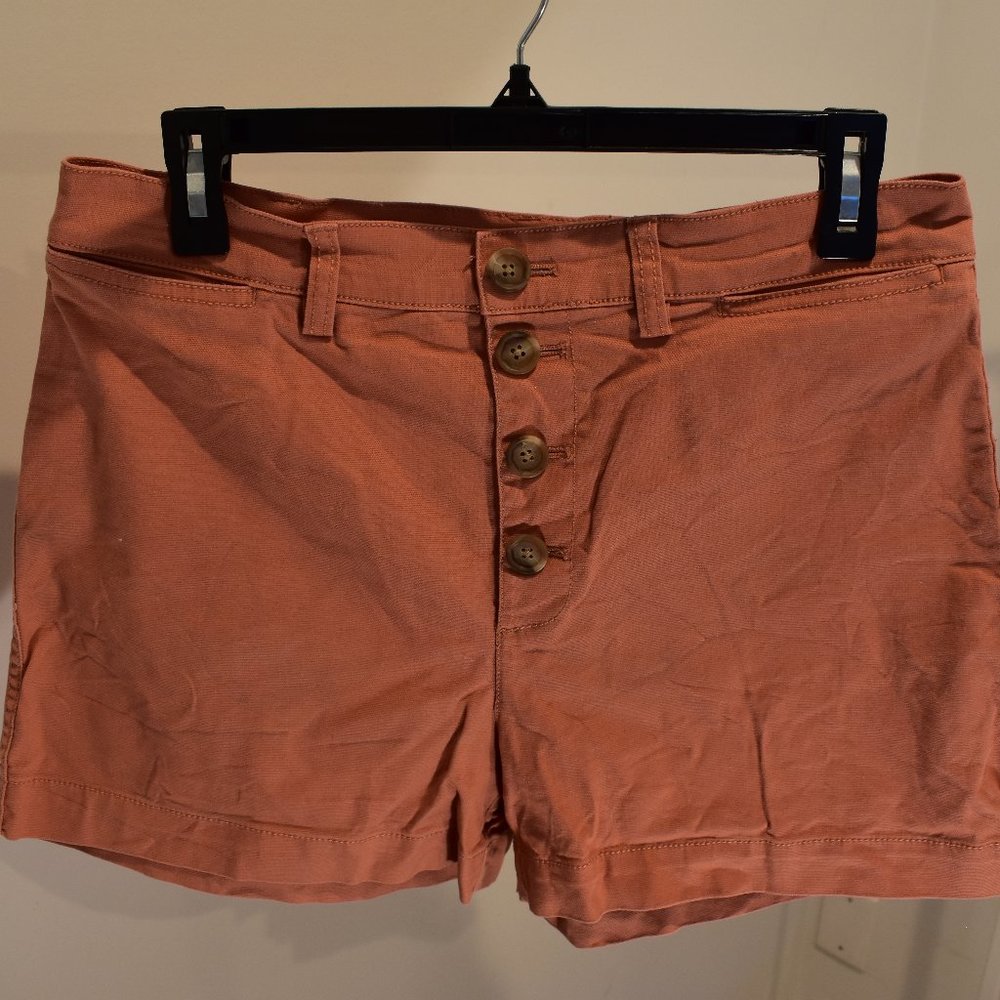 Dusty Rose High Waisted Madewell Shorts